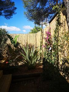 Camping nature en bord de mer dans le Var