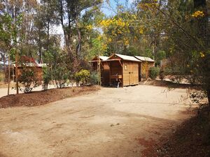 Location emplacement tente et caravane en camping**** à Hyères