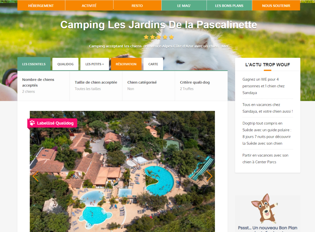 Ein hundefreundlicher Campingplatz an der Côte d'Azur Ein hundefreundlicher Campingplatz im Departement Var