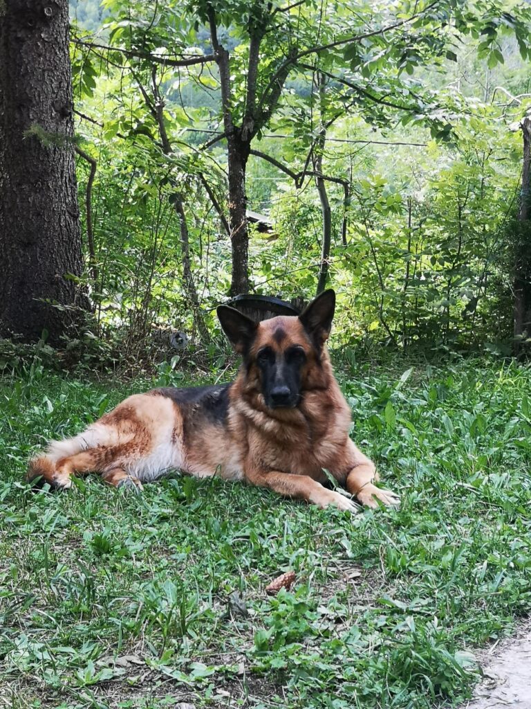 Se baigner en rivière dans le Var.