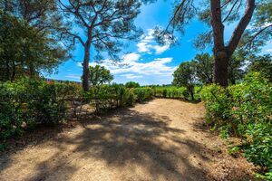 Location emplacement grande tente camping ombragé Hyères