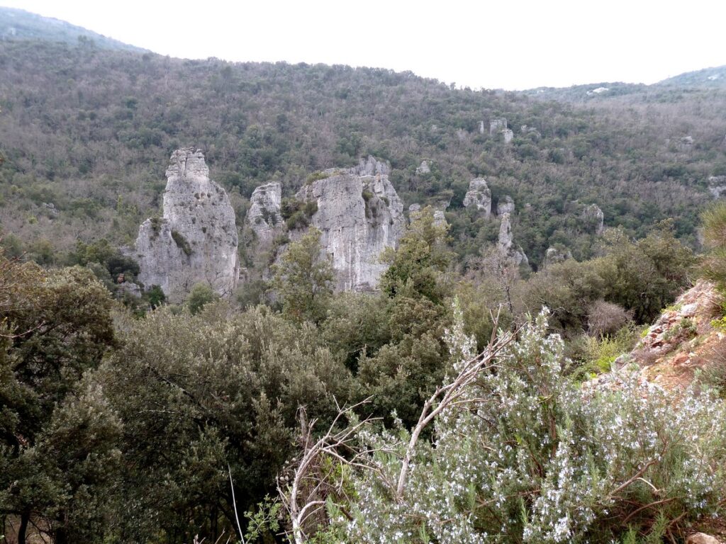 Die Felsnadeln von Valbelle in Montrieux Wandern im Departement Var