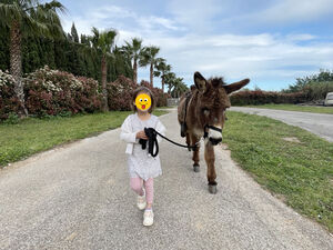enfant qui tient un âne en longe