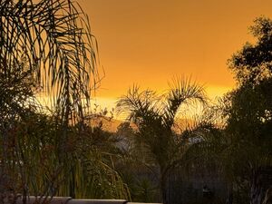 Camping Les Jardins de la Pascalinette ®