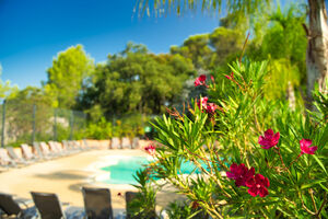 Camping Les Jardins de la Pascalinette ®