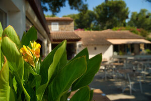 Camping vert et fleuri sur la côte d'Azur
