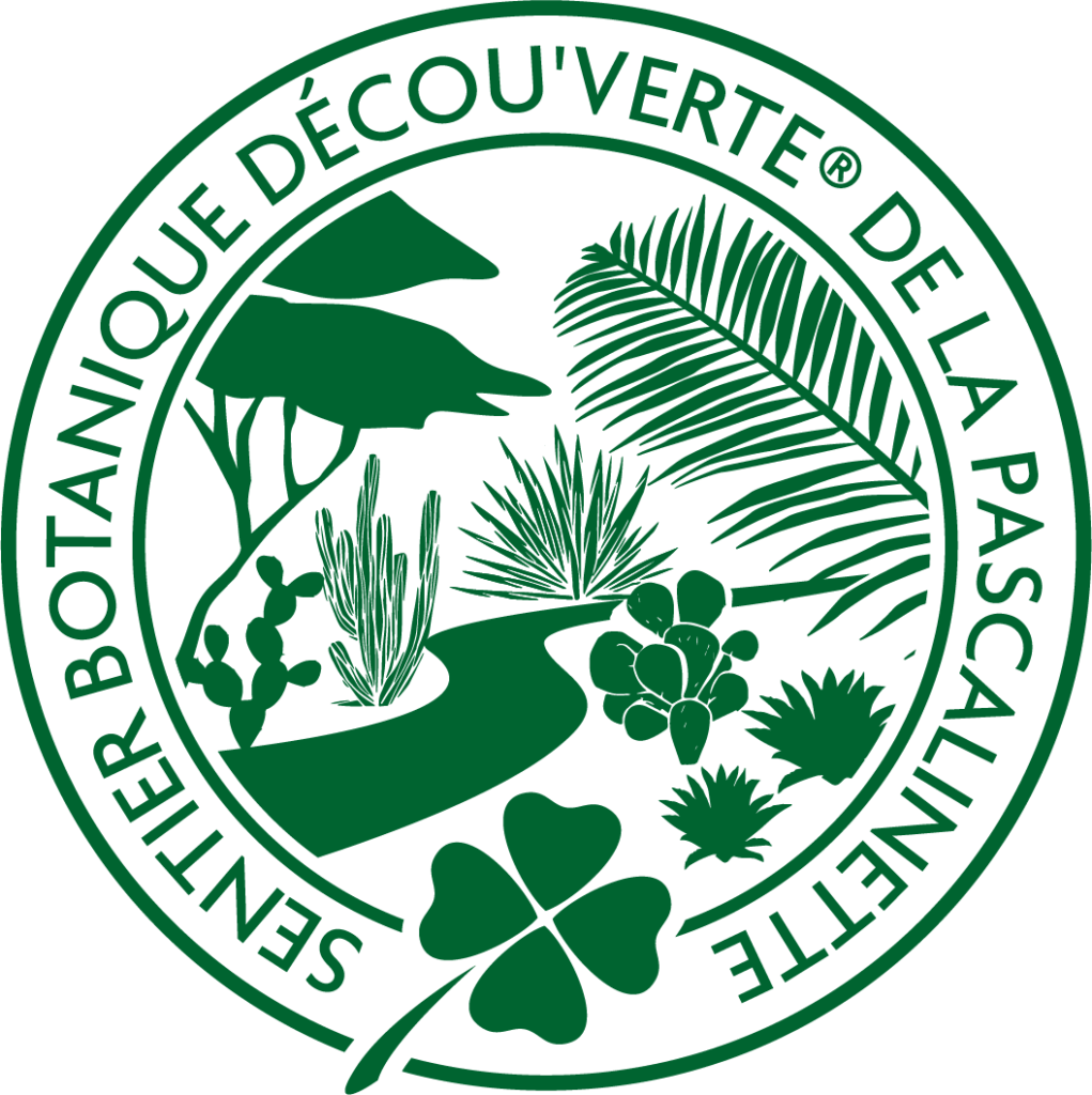 Le sentier botanique décou'verte du camping